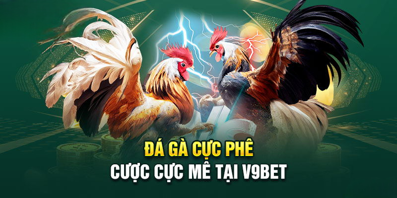 Đá Gà V9BET – Sân Chơi Cá Cược Trực Tuyến Hấp Dẫn Nhất 2025